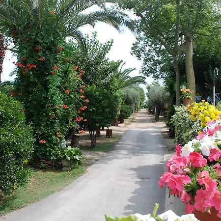 Camping & Estanyet Kamp alanı 2*