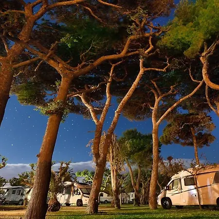Kamp alanı & Estanyet